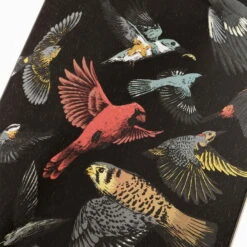 LANDYACHTZ Stratus Sanctuary 45,5" - COMPLETE -Verkauf Von Surfausrüstung 122CP DNCSTRSA Stratus 46 Sanctuary skateboard 3 AD 0310 WEB