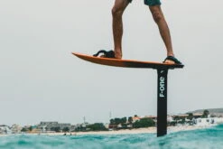 F-ONE PRO RACE CARBON (Tuttle + Twin Tracks) 6 F-ONE PRO RACE CARBON (Tuttle + Twin Tracks) -Verkauf Von Surfausrüstung BD7A9100 bei brettsport de