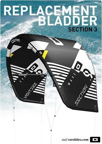 CORE Section 3 Bladder