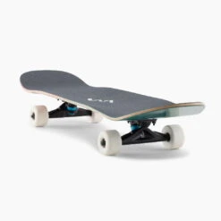 Landyachtz ATV X Perfecto Racoon 32" - Komplettboard -Verkauf Von Surfausrüstung atvx perfecto raccoon AD 5943 copy