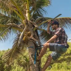 ShredRack JawStrap Spanngurt 2 Meter (Set) TPU - Wasserfest -Verkauf Von Surfausrüstung shredrack jawstraps 8 brettsport de 1